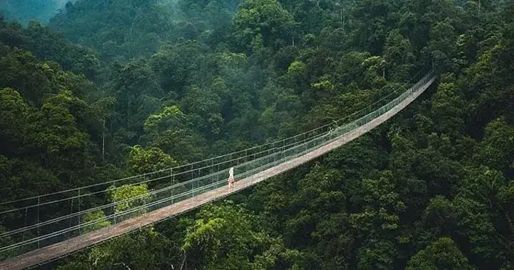 Wisata alam Jembatan Gantung Situ Gunung