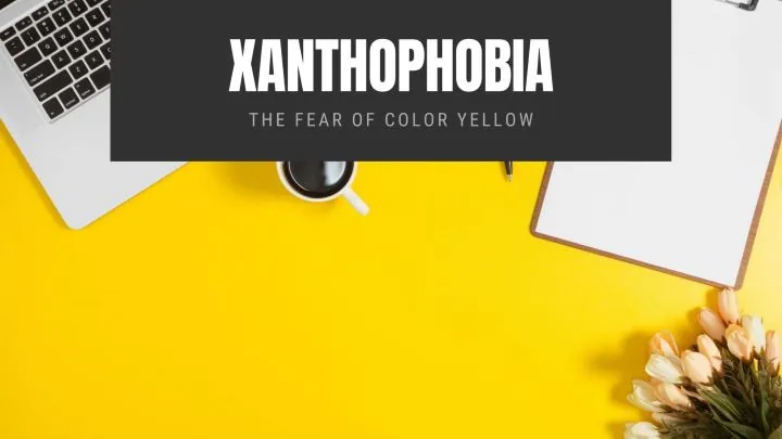 Xanthophobia