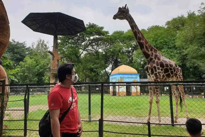 Kebun Binatang Surabaya 