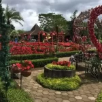 Wisata Taman Bunga Bandung