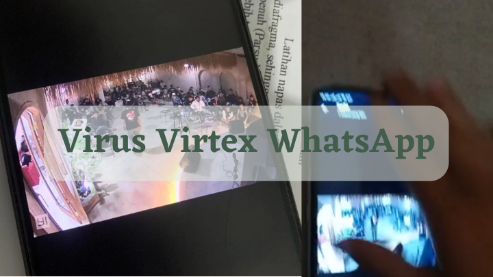 Virus Virtex
